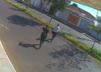 Mulheres são presas por suspeita de se passar por agentes públicas para furtar R$ 8 mil de idoso em Batatais