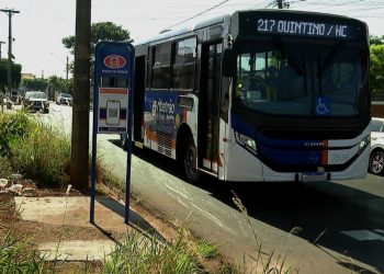 Levantamento aponta que 32% dos pontos de ônibus têm cobertura em Ribeirão Preto, SP