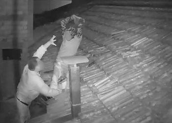 Suspeito cai do telhado ao brigar com vigia depois de invadir loja e acaba preso no interior de SP; VÍDEO